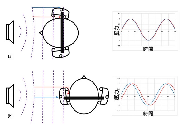 “图3：前馈降噪的方向性，(a)