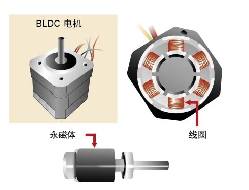 “图1：BLDC电机的外观及内部构造”